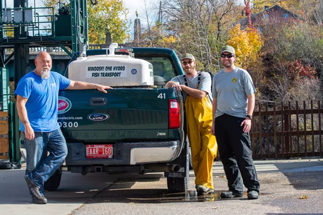 John Clark, Dan DeLuca and Lee Simard, transporting salmon - VERMONT FISH AND WILDLIFE ©️ SEVEN DAYS