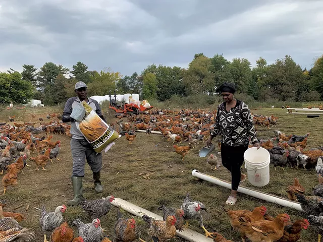 Théogène Mahoro and Hyacinthe Mahoro Ayingeneye feeding their chickens - MELISSA PASANEN