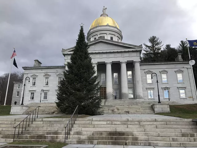 Vermont Statehouse - ANNE WALLACE ALLEN ©️ SEVEN DAYS