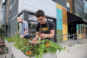 May Day co-owners Matthew Peterson and Mojo Hancy-Davis cutting herbs from a raised bed outside the restaurant - DARIA BISHOP