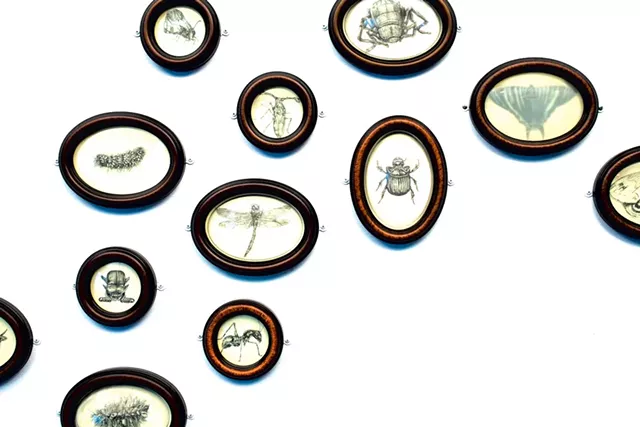Detail of "Inhaling the Spore" - COURTESY OF BRIAN COLLIER