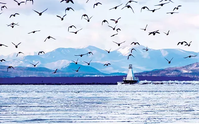 Frozen Lake Champlain at Burlington's Waterfront Park - HOMER HOROWITZ