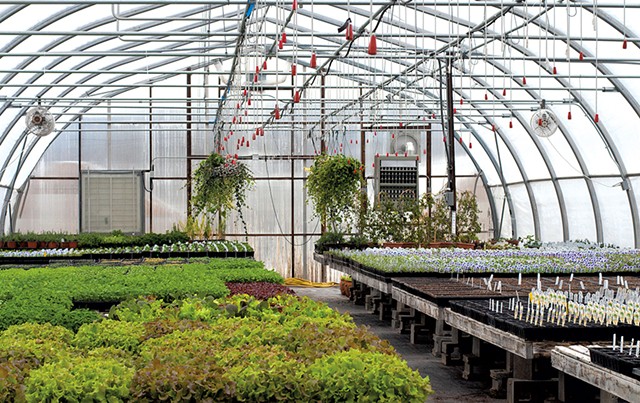Greenhouse at Red Wagon Plants - HANNAH PALMER EGAN