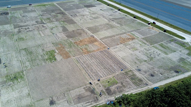 Aerial view of the gardens at Pine Island Community Farm - JAMES BUCK