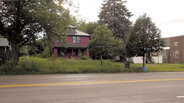 The yard at 431 Shelburne Road - JORDAN ADAMS