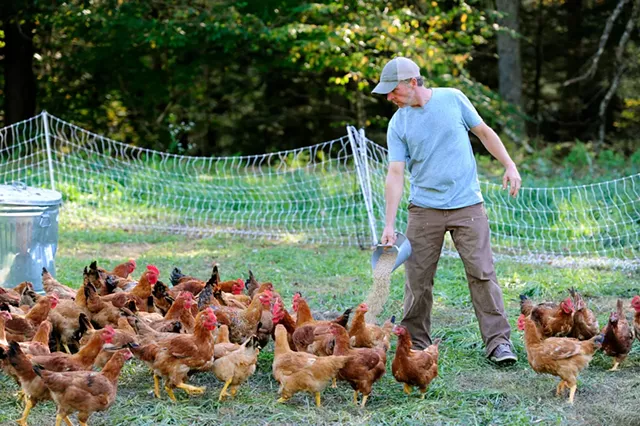 Craig Oshkello feeding chickens - JEB WALLACE-BRODEUR
