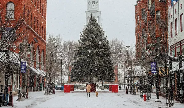 Finding Glimmers of Hope in a Pandemic Winter