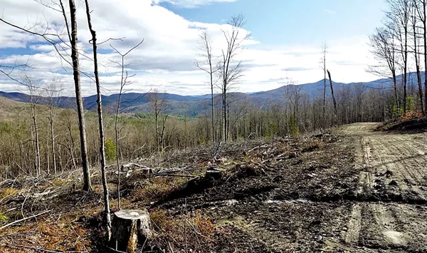 Climate Crisis Spawns a Push to Ban Logging in the Green Mountain National Forest