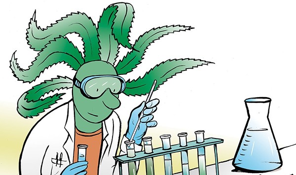 Vermont Cannabis Control Board Gets Funding for a Laboratory
