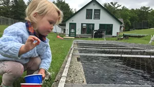 Fee Hike Could Spawn Revenue to Save Salisbury Fish Hatchery