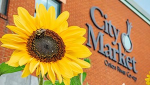 Video: 5 Reasons to Become a City Market Member
