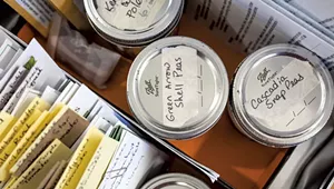 The Charlotte Library Educates on Heirloom Plants &mdash; and Lends Seeds