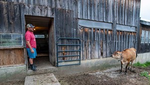 New Arrivals Tackle Life on a Big Vermont Farm in a Very Small Town