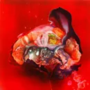 'Sequences: Ode to Minor White'