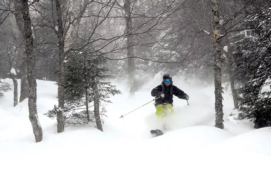 The backcountry at Mad River Glen - COURTESY OF SKI VERMONT/JEB WALLACE-BRODEUR