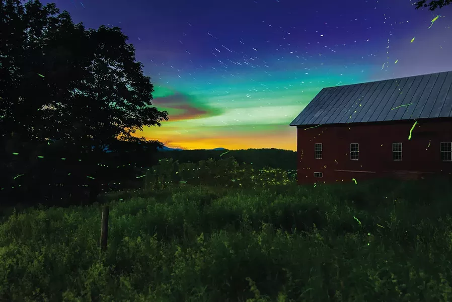 Mark Collier, "Fireflies"