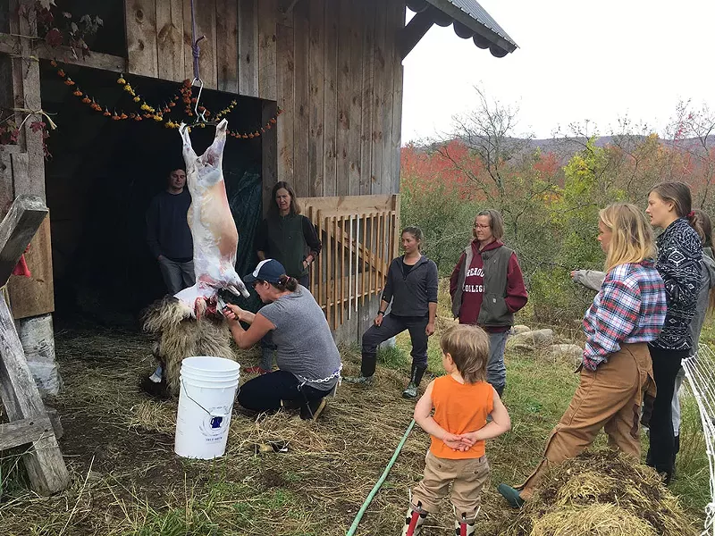 Mary Lake working on a farm in Lincoln - MELISSA PASANEN