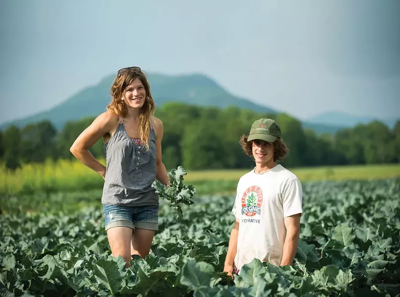 Open Farm Week - COURTESY OF DIG IN VERMONT/ANDY DUBACK