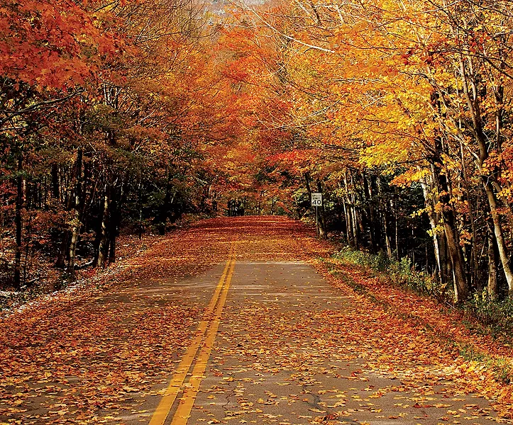 Smuggles Notch Road (Route 108) - COURTESY OF CHARLOTTE HARRIS