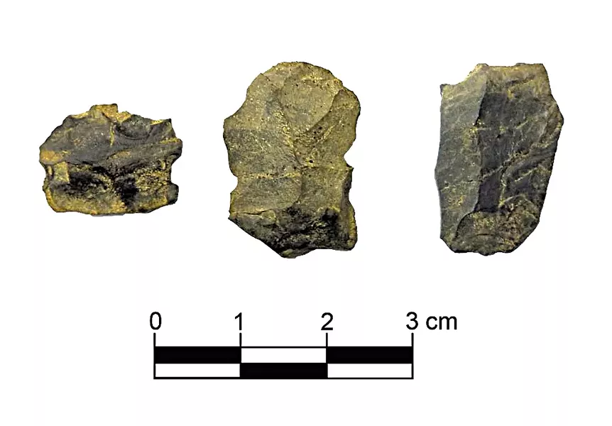 Artifacts found at the site - COURTESY OF NORTHEAST ARCHAEOLOGY RESEARCH CENTER
