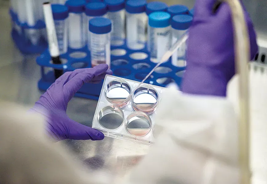 Cultivating human stem cells at the Vermont Lung Center - GLENN RUSSELL