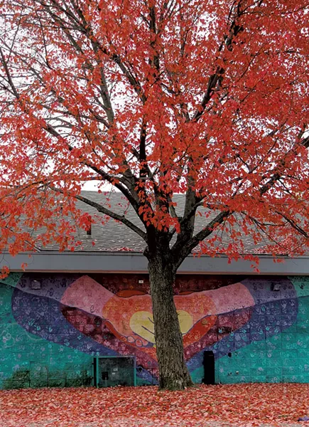 Photos from the "ONE Perspective" exhibit - COURTESY OF MEGAN HUMPHREY