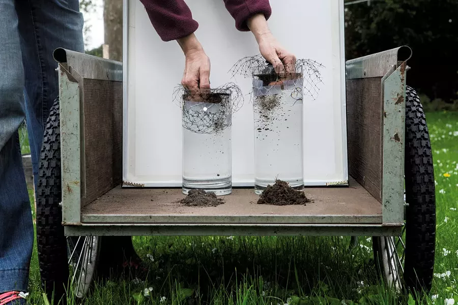 Soil stability test using samples from the garden (left) and lawn - LUKE AWTRY