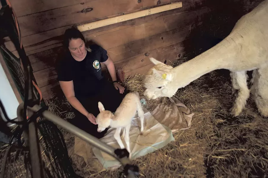 Jennifer Lutz helping Bitsy to her feet - HANNAH PALMER EGAN