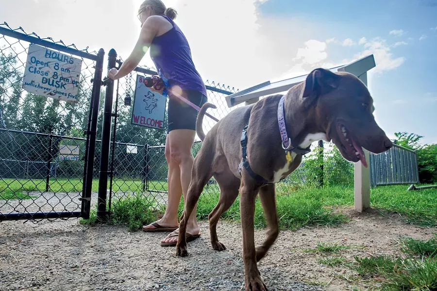 The entrance to Starr Farm Dog Park - JAMES BUCK