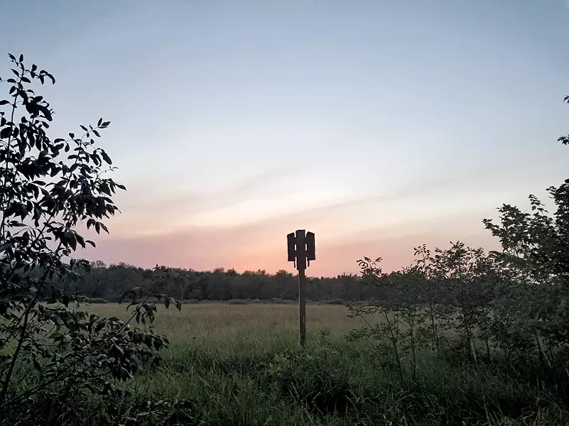 Bat house at Cornwall Swamp Wildlife Management Area - COURTESY OF DYLAN O'LEARY