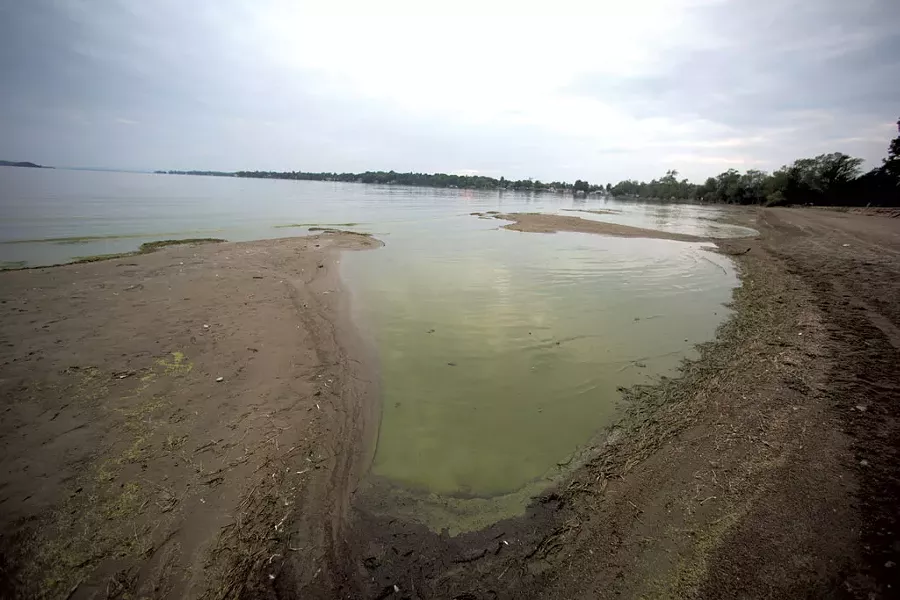 Blue-green algae in St. Albans Bay - JAMES BUCK