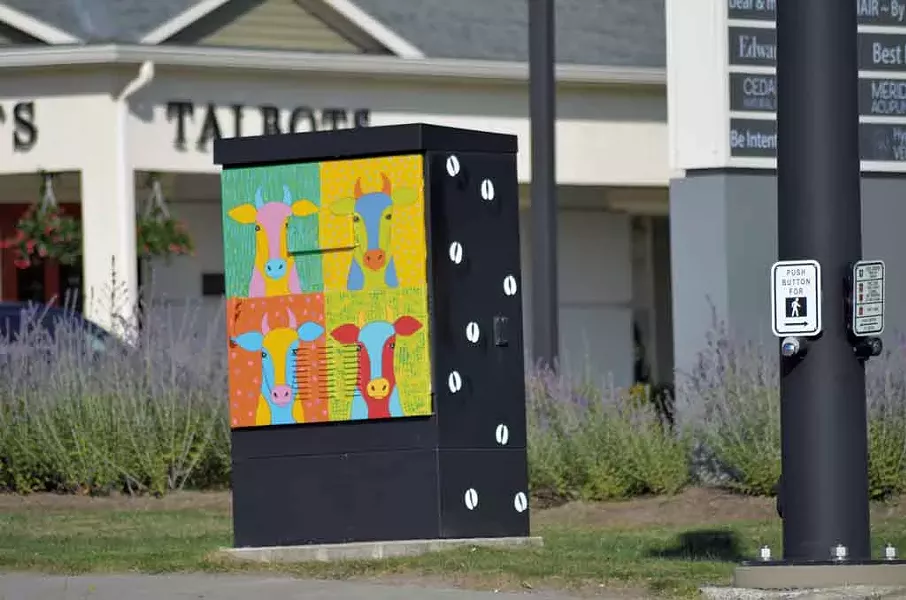 Painted utility box - KEN PICARD