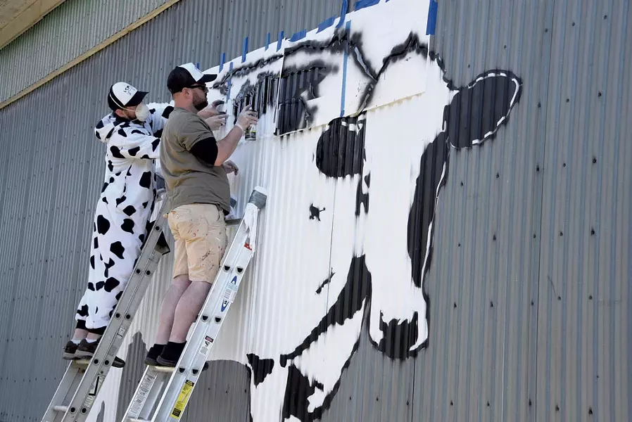 Middlesex artist DJ Barry (in cow suit) and New York City artist DJ Barry painting a World Cow in Montpelier - JEB WALLACE-BRODEUR