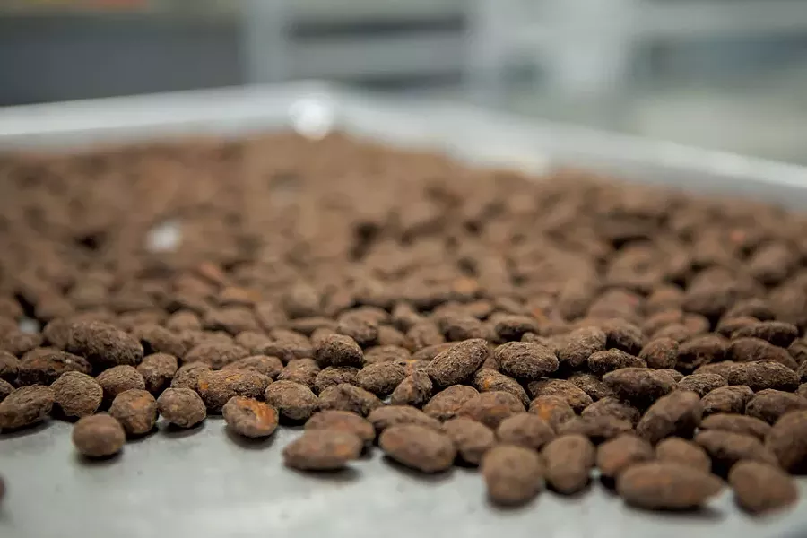 Cocoa almonds - LUKE AWTRY