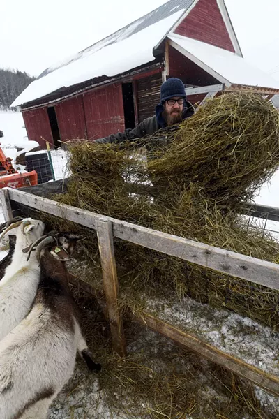 Joey Nagy feeding his Kiko goats - JEB WALLACE-BRODEUR