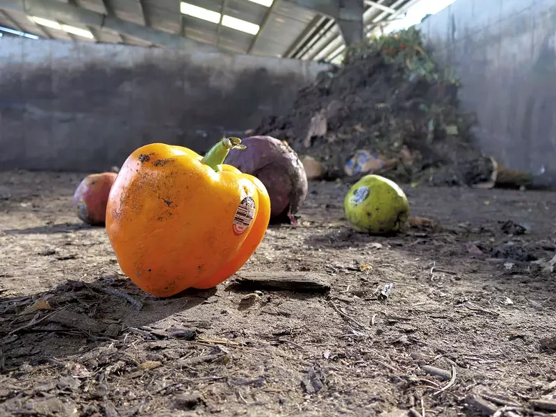 Food waste - MATTHEW THORSEN