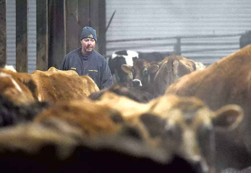 Rep. Rodney Graham at his dairy farm in Williamstown - JEB WALLACE-BRODEUR