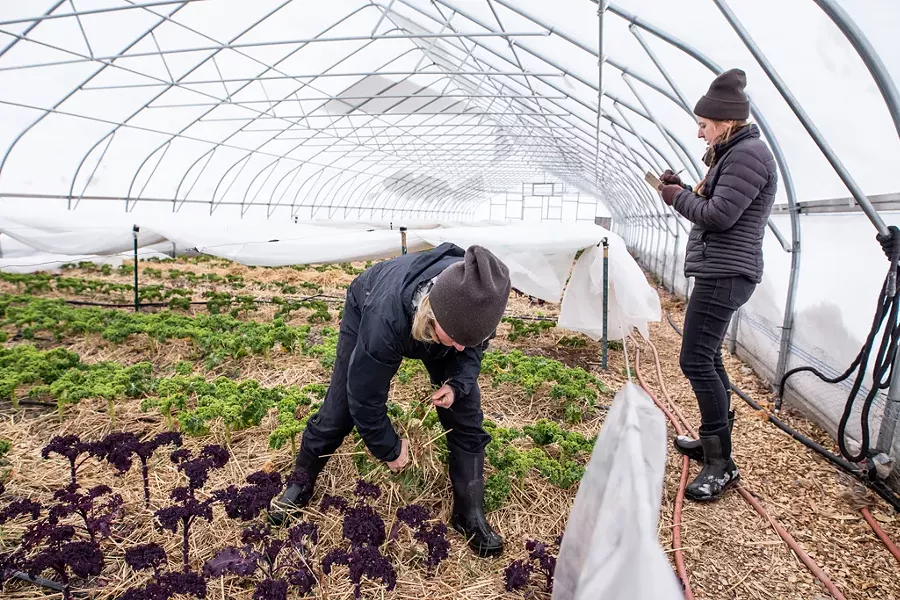 Corie Pierce and Cory Froning at Bread & Butter Farm - LUKE AWTRY