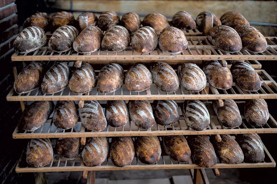 Freshly baked sourdough bâtards - GLENN RUSSELL