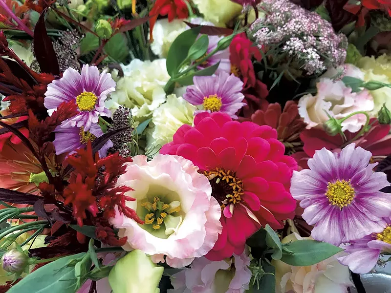 Morey Hill Farm flowers - COURTESY