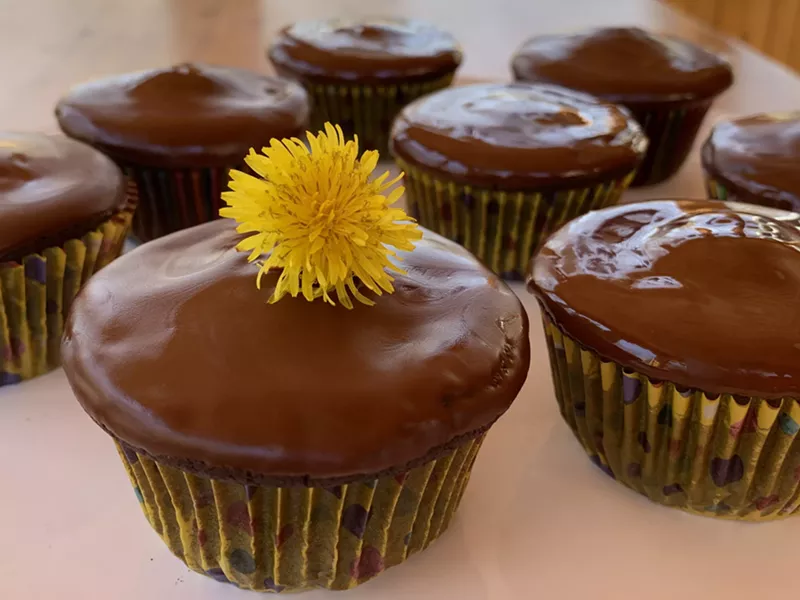 Nancy Cain's Cocoabean Cupcakes - MELISSA PASANEN