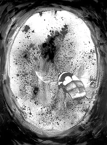 "Creator #1" - GABRIEL TEMPESTA