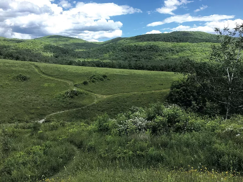 Taconic Mountains Ramble vista - PAMELA POLSTON