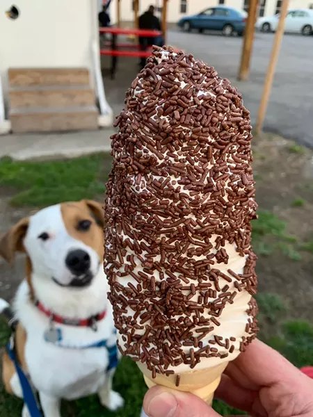 The "small" maple creemee at Hoss's Dogg House - DAN BOLLES ©️ SEVEN DAYS