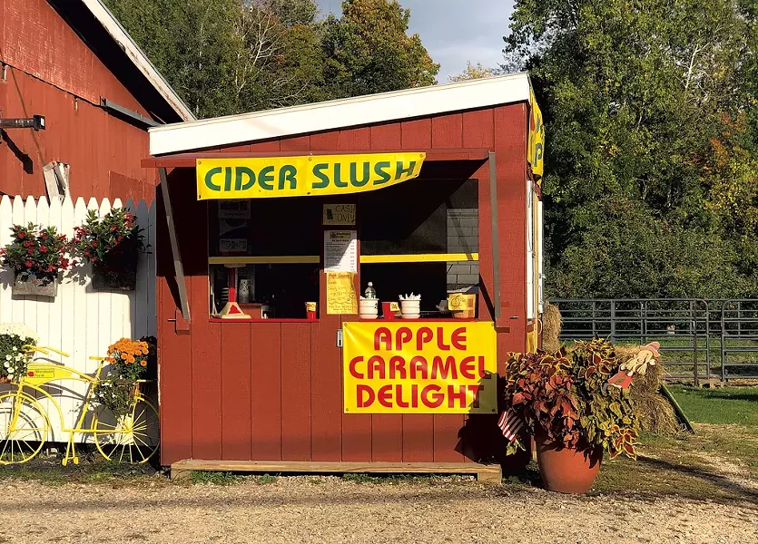 A perfect day for a cider slush at Allenholm Farm in 2019 - JORDAN BARRY ©️ SEVEN DAYS