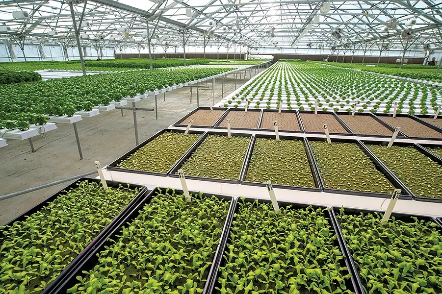 Green Mountain Harvest Hydroponic - JEB WALLACE-BRODEUR