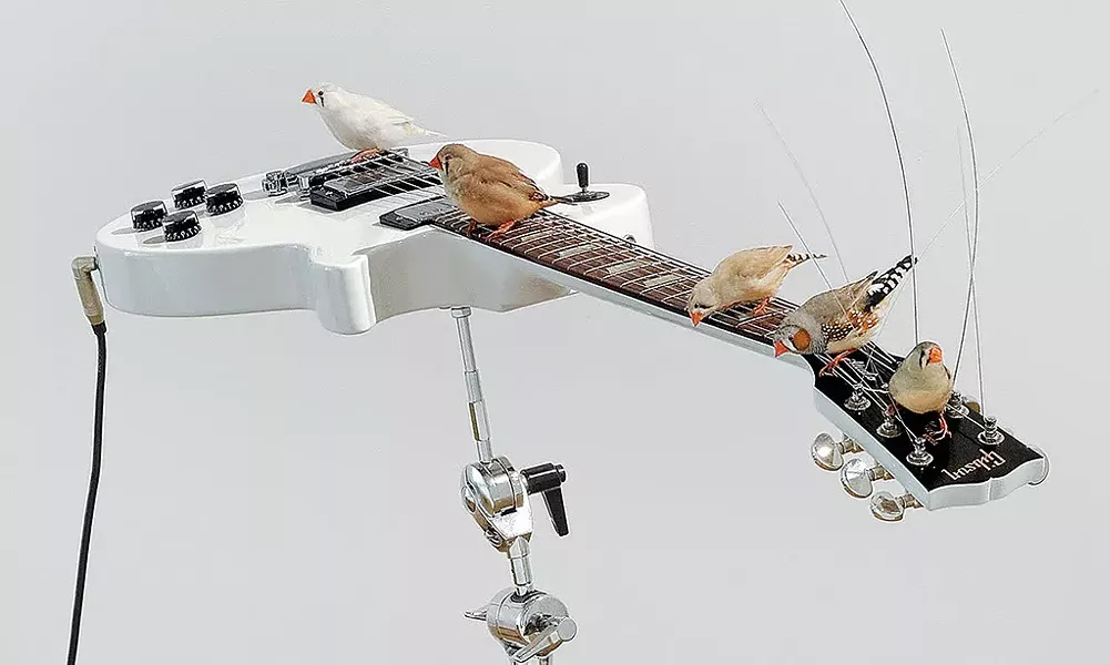 Installation view of "from here to ear (version hors série)"