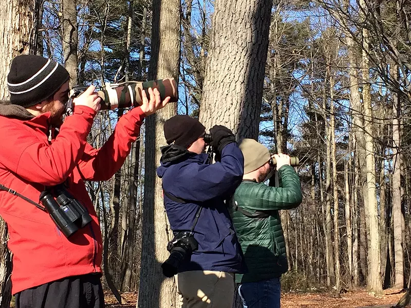 Taj Schottland, Zac Cota and Remy Lary birding in Winooski - COURTESY OF MEGHAN OLIVER