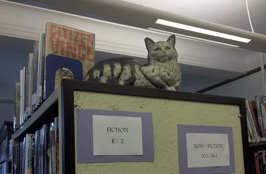 Shirley Jackson's cat in the library - RACHEL ELIZABETH JONES