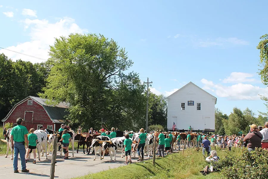 Oxen pull the 1823 schoolhouse - JULIA SHIPLEY